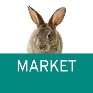 Telegram group profile photo for Pro.Expert Market - Vaillant, Protherm, VGR