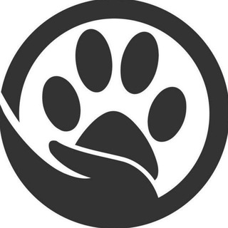 Telegram group profile photo for Вьетнам питомцы Нячанг Хошимин Ханой Дананг Фукуок Муйне