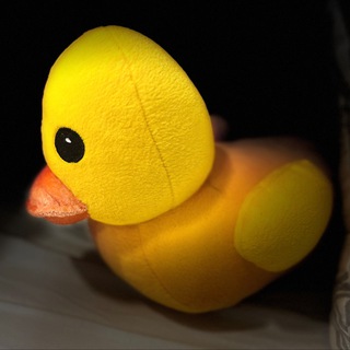 Telegram profile photo for Oh my duck!
