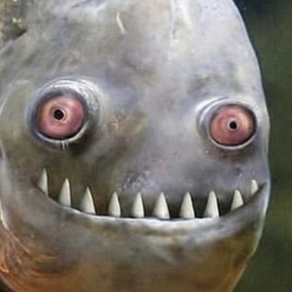 Telegram profile photo for Fluffy_Lamprey