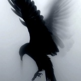 Telegram profile photo for #12345
