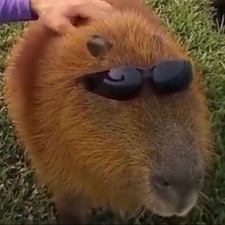 Telegram profile photo for Votyakov Meme