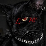Telegram profile photo for Рудских//$Филгер$