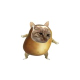Telegram profile photo for 土豆人🥔日记本