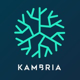 Telegram profile photo for Kambria Russian Announcements