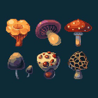 Telegram profile photo for Spore