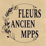 Telegram profile photo for ᴍᴘᴘs 𝐅𝐋𝐄𝐔𝐑𝐒 𝐀𝐍𝐂𝐈𝐄𝐍