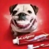 Telegram profile photo for Голосования фейслесс пинс лелел🐳