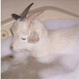 Telegram profile photo for save a prayer