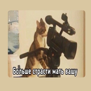 Telegram profile photo for Casting by Bagirova