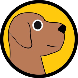 Telegram profile photo for dexhound preverify