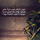 Telegram profile photo for الزهرة الذابلة💔🥀
