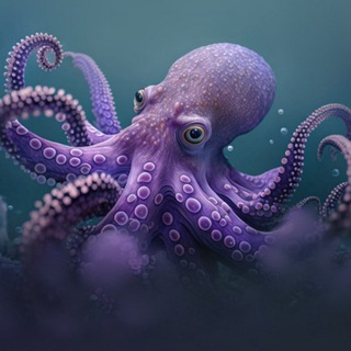 Telegram profile photo for Octopus soft