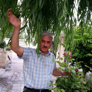 Telegram profile photo for Shams Aghajani | شمس آقاجانی