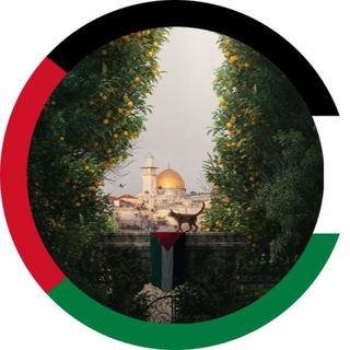 Telegram profile photo for ملفات _قدرات _ ايهاب _ المنصف_عماد _ تجميعات_تحصيلي_ تجميعات غشام _عبد الكريم•