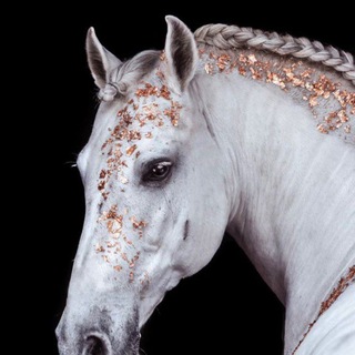 Telegram profile photo for Реклама 👑