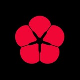 Telegram profile photo for Kode House Portal