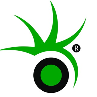 Telegram profile photo for Mosteo - автоаксессуары