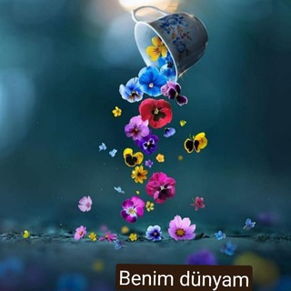 Telegram profile photo for Benim dünyam