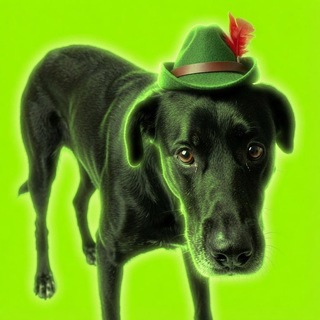 Telegram group profile photo for Robinhood the Dog