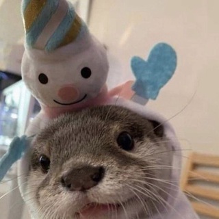Telegram profile photo for .○•° li