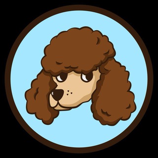 Telegram profile photo for Poodl Inu