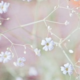 Telegram profile photo for закрыто ? | tsukiaou 🎐