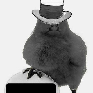 Telegram profile photo for _ .𝒘𝒉𝒊𝒕𝒆𝒐𝒖𝒕ᶜᵒᶰᶠ. ࣳ ♡