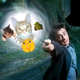 Telegram profile photo for Мемес Максимус