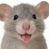 Telegram profile photo for Ручки из жопы