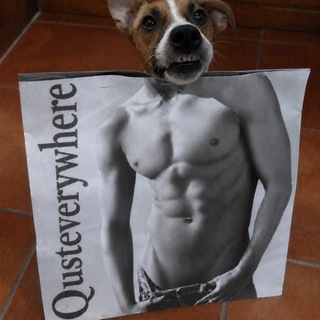 Telegram group profile photo for qust chat