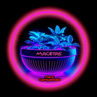 Telegram profile photo for 💎STL Macetas 🌱 Comunidad Mr X