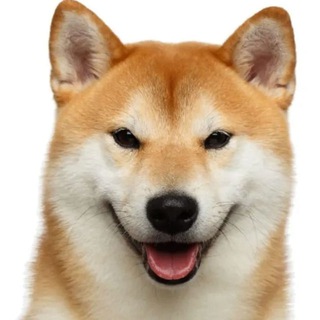 Telegram profile photo for Dog Community Portal