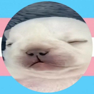 Telegram profile photo for Канал с мемами и вотермарками🏳️⚧️