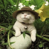 Telegram profile photo for биоfuckная жизнь Аполлинарии Нерехтской 🦎
