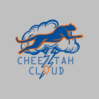 Telegram profile photo for Cheetah Cloud - چیتا کلود