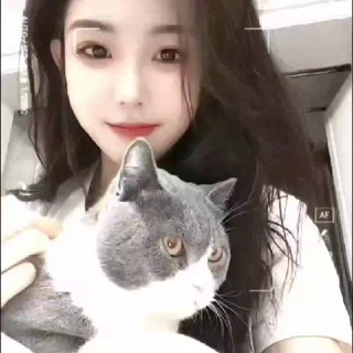 Telegram profile photo for 婉婉专属小窝