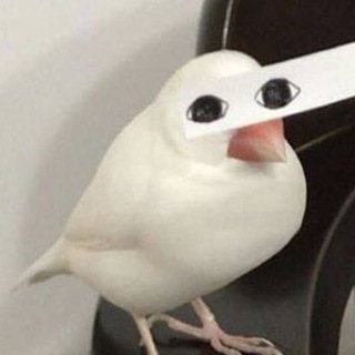 Telegram profile photo for Resendочка