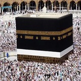 Telegram profile photo for کاروان حج دکترفاضلی 34002میبد