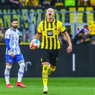 Telegram profile photo for FOOTBALL HUB