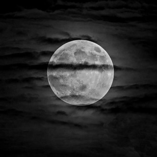 Telegram profile photo for 𝓂𝓎 𝓂𝑜𝑜𝓃🌘