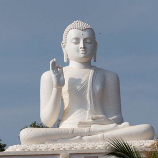 Telegram profile photo for Dhammapada - Buddha Dharma Teachings