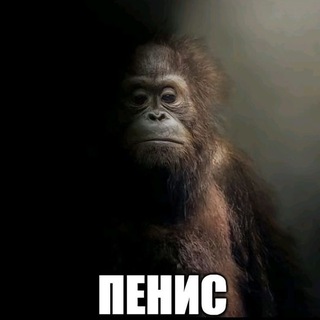 Telegram profile photo for 🌼 Помойка МакакИ 🌼 рисульки 💦