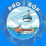 Telegram profile photo for Pro|Бор ● Новости