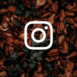 Telegram profile photo for Instagram posts