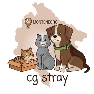 Telegram profile photo for Зооволонтеры Черногории_CG Stray