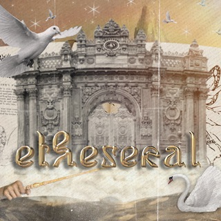 Telegram profile photo for Etheseral close