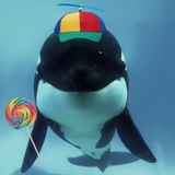 Telegram profile photo for Cantinho do kafka