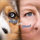 Telegram profile photo for dogs are good