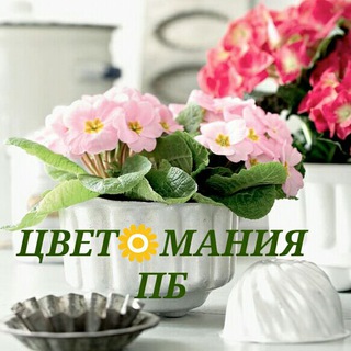 Telegram profile photo for 🍀ЦВЕТ🌻МАНИЯ ЖК ПБ 🌿🌺